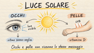 Appunti illustrati sugli effetti della luce solare su occhi e pelle